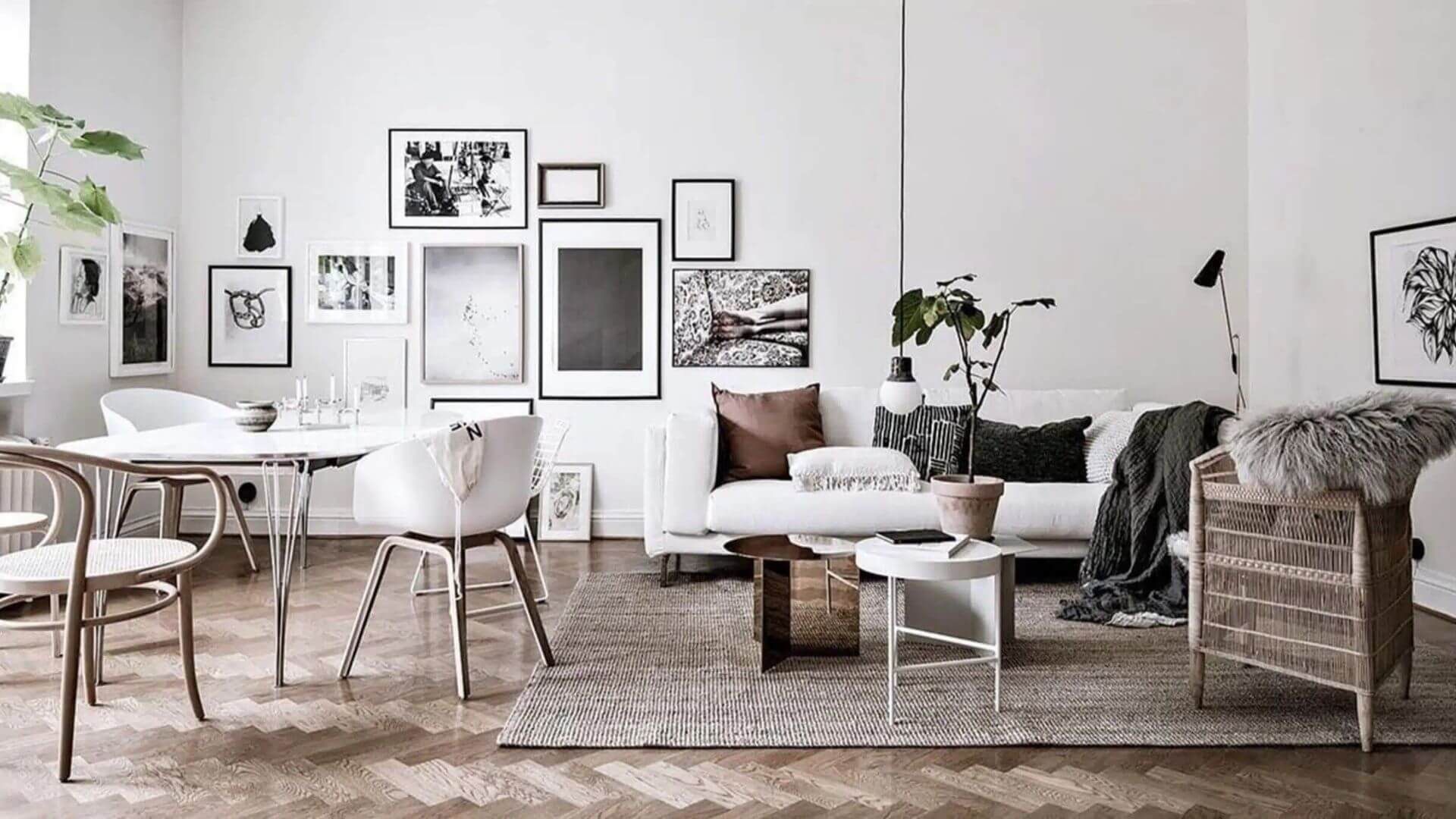 Tienda-de-muebles-Ibiza